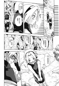 [Kishimoto Saisi] naruto ninja biography vol.07 (naruto) [chinese]