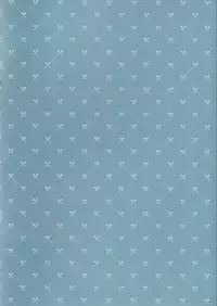 (COMIC1☆14) [Chocolate Latte (Ichiyo Moka)] Saimin Kanojo 2.5