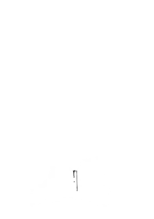 Yuuka-Chirabatta Daiyoukai no Kakera-