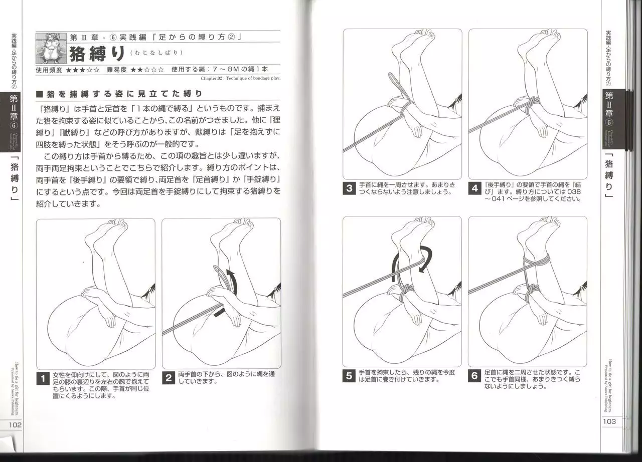 Now you can do it! Illustrated Tied How to Manual