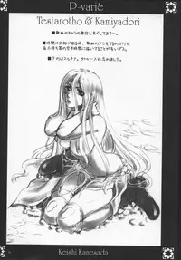 (C65) [NOUZUI MAJUTSU, NO-NO'S (Kanesada Keishi, Kawara Keisuke)] P-varié