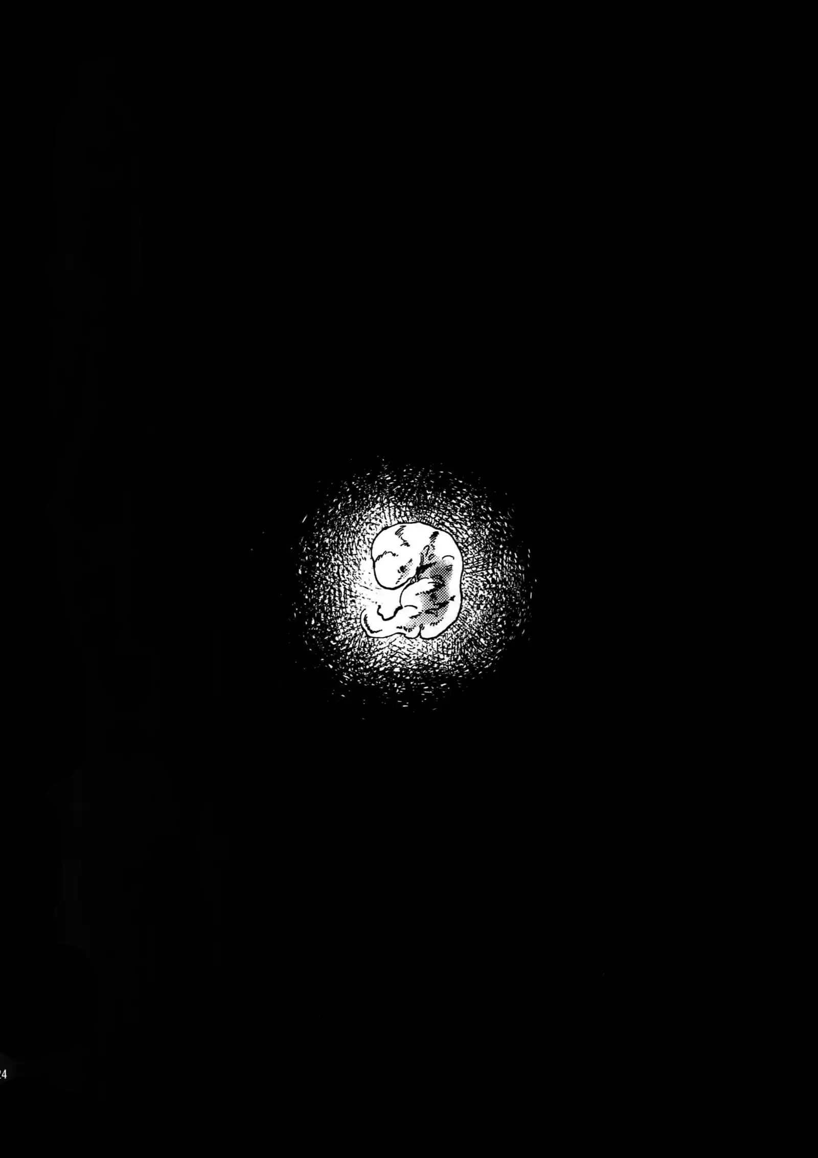 Shakunetsu no Yousui