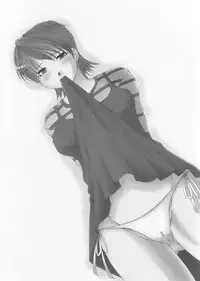 [Mugendai] THE Tora (Fate/Stay Night)