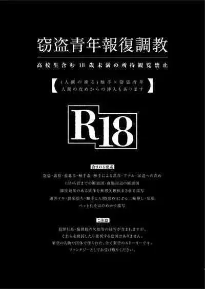 Settou Seinen Houfuku Choukyou