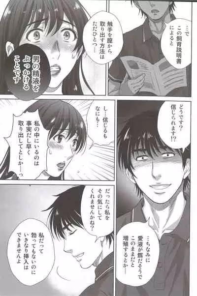 Hitozuma Nanoni Tonari no Ryman ni Shokushu Choukyou Sarete Imasu.