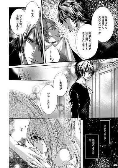 鬼畜兄弟の悶絶調教～私はいいなり奴隷～