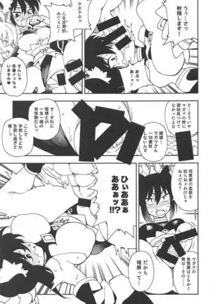 Tokugawa-san-chi no Oyotsugi Jijou