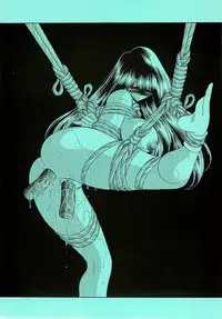 (C75) [Circle Taihei-Tengoku (Horikawa Gorou)] Niku no Rakuin Chuukan