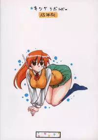 (C71) [King Revolver (Kikuta Kouji)] Copybon Soushuuhen Fukanzen (Summon Night)