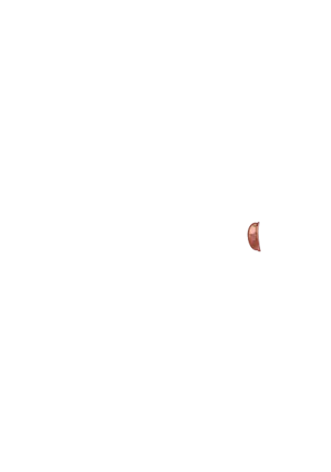 Yuuka-Chirabatta Daiyoukai no Kakera-