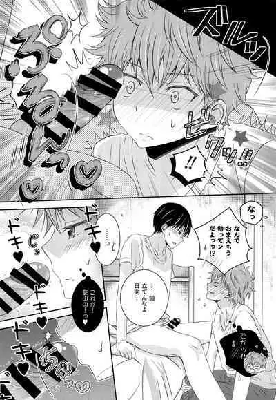 (SUPER COMIC CITY 23) [puniiyu] Hinata to Koi ni Ochiru Made— (Haikyuu!!)