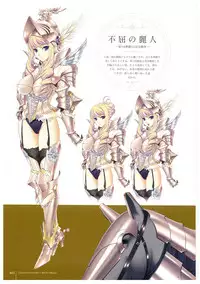 Walkure Romanze More & More Visual Fan Book