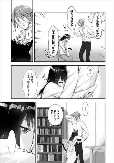 Dascomi Vol.13