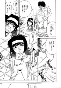 [Donkey] Chocotto Ne