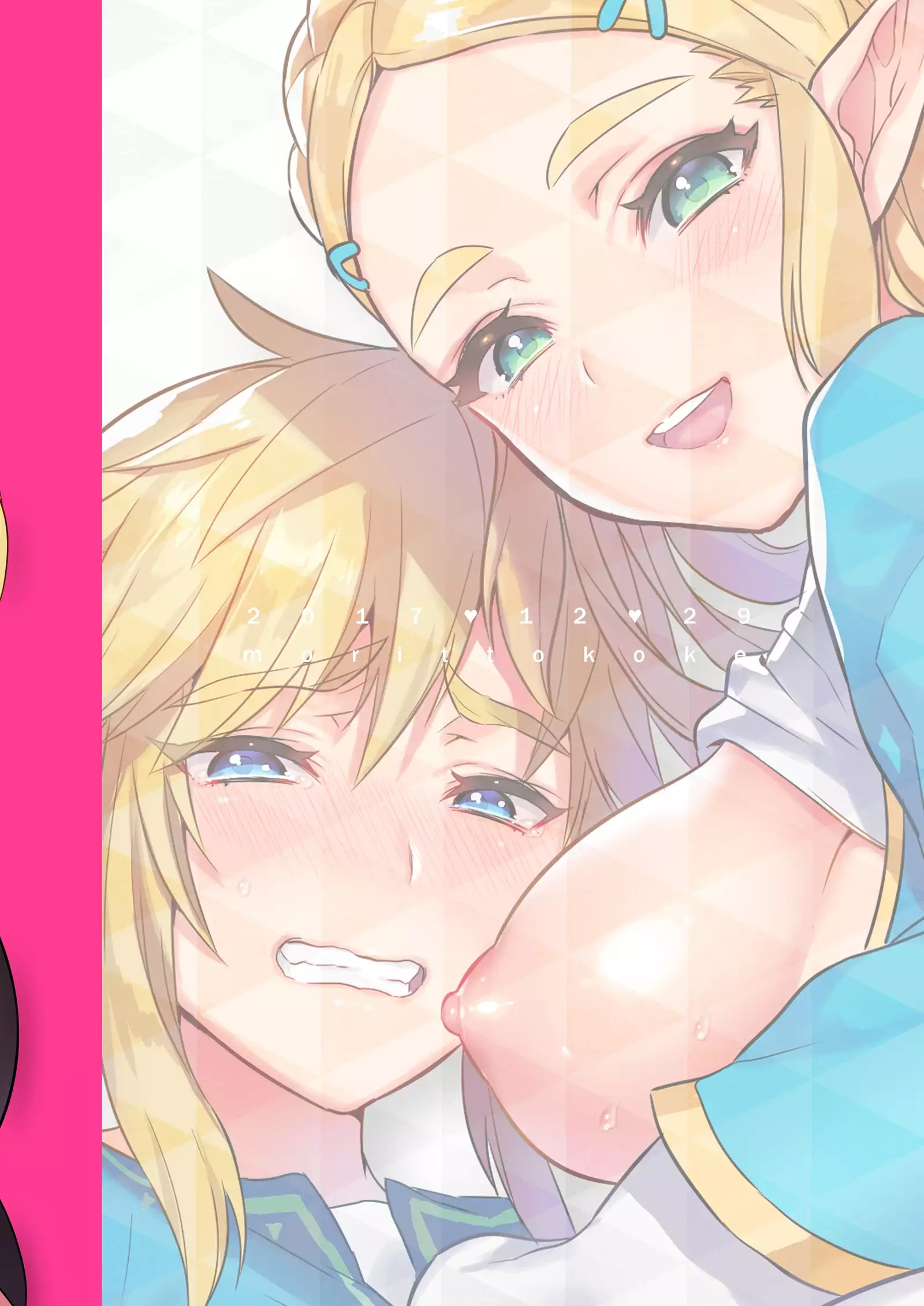 Hyrule Hanei no Tame no Katsudou!