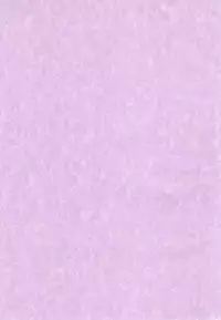 (Mou Nani mo Kowaku Nai) [Uminari (Narumi)] Homura Otsu (Puella Magi Madoka☆Magica)