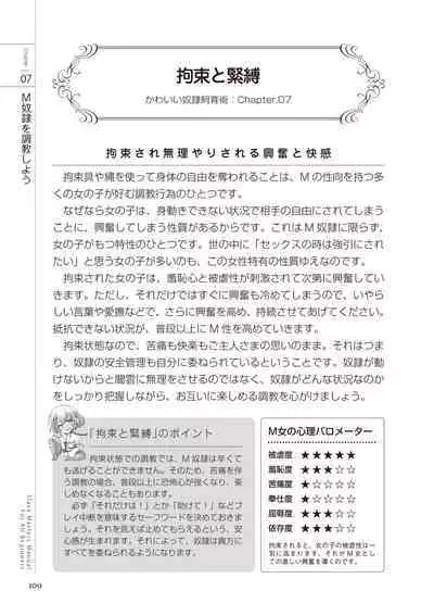 Zero kara Hajimeru SM Manual Kawaii Dorei Shiikujutsu