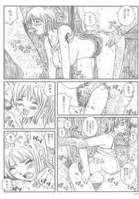 [Circle Kuusou Zikken (Munehito)] Kuusou Zikken vol.5 (ONE PIECE)