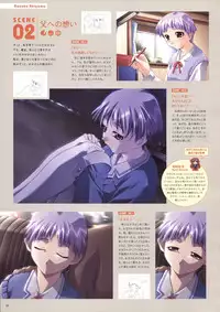 Natural 2 Duo Visual Fan Book