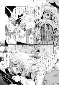 [Noraneko Nagaya] Horoama Omocha Hako