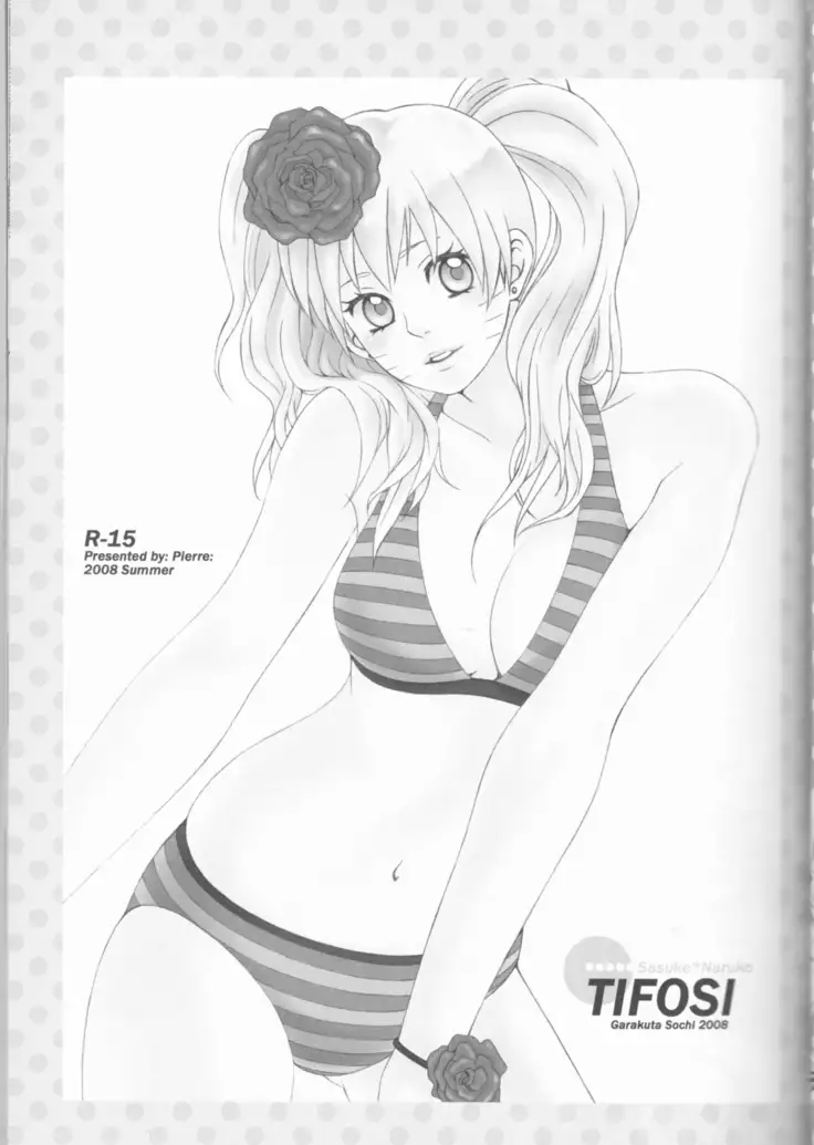 Dream Passport ongoing