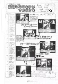 Otome wa boku ni koi shiteru Visual Fanbook (Otoboku)