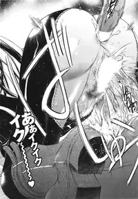 COMIC Purumelo 2008-09 Vol.21