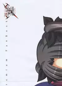 Fate/stay night Premium FanBook