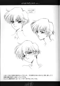 [CARNELIAN] CARNELIAN vol.2 - Re·Leaf Settei Shiryou Tsudo