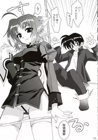 (ComiComi11) [PLUM (Kanna)] Mahou Shoujo Magical SEED DESTINY (Mahou Shoujo Lyrical Nanoha)