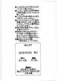 (C72) [Ashinoie (Taryl.)] Hinnyuu Musume Giten Princess of naughtiness (CYBERBOTS -FULLMETAL MADNESS-)