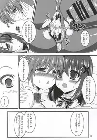(C88) [Utanone Dou (Utanone Sion)] SigHaya Bunny (Mahou Shoujo Lyrical Nanoha)