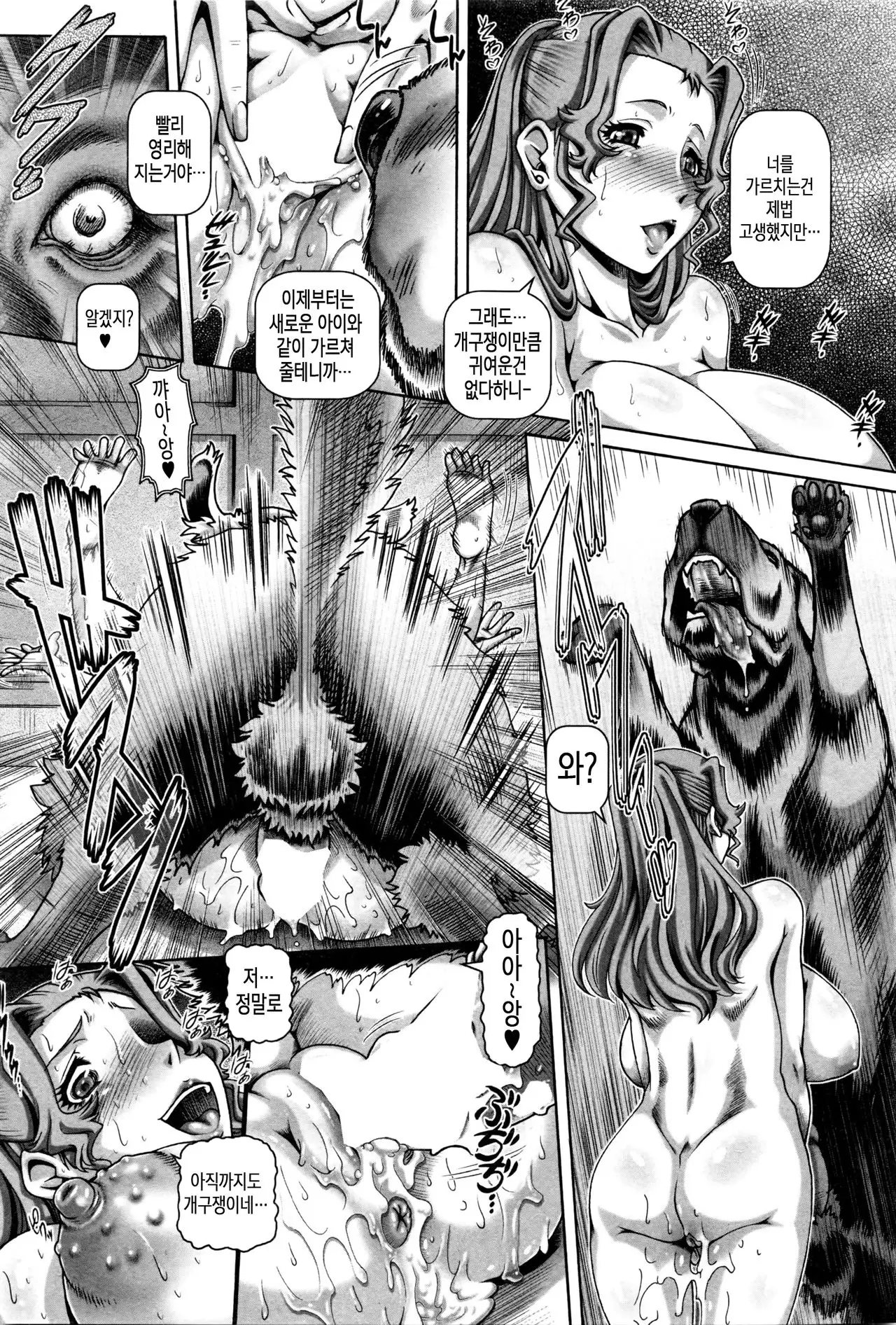 Jyuai Kantsu | 수애간통