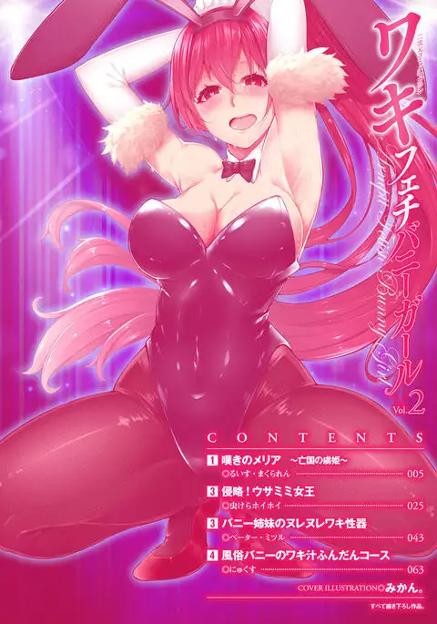 2D Comic Magazine Waki Feti Bunny Girl Vol. 2