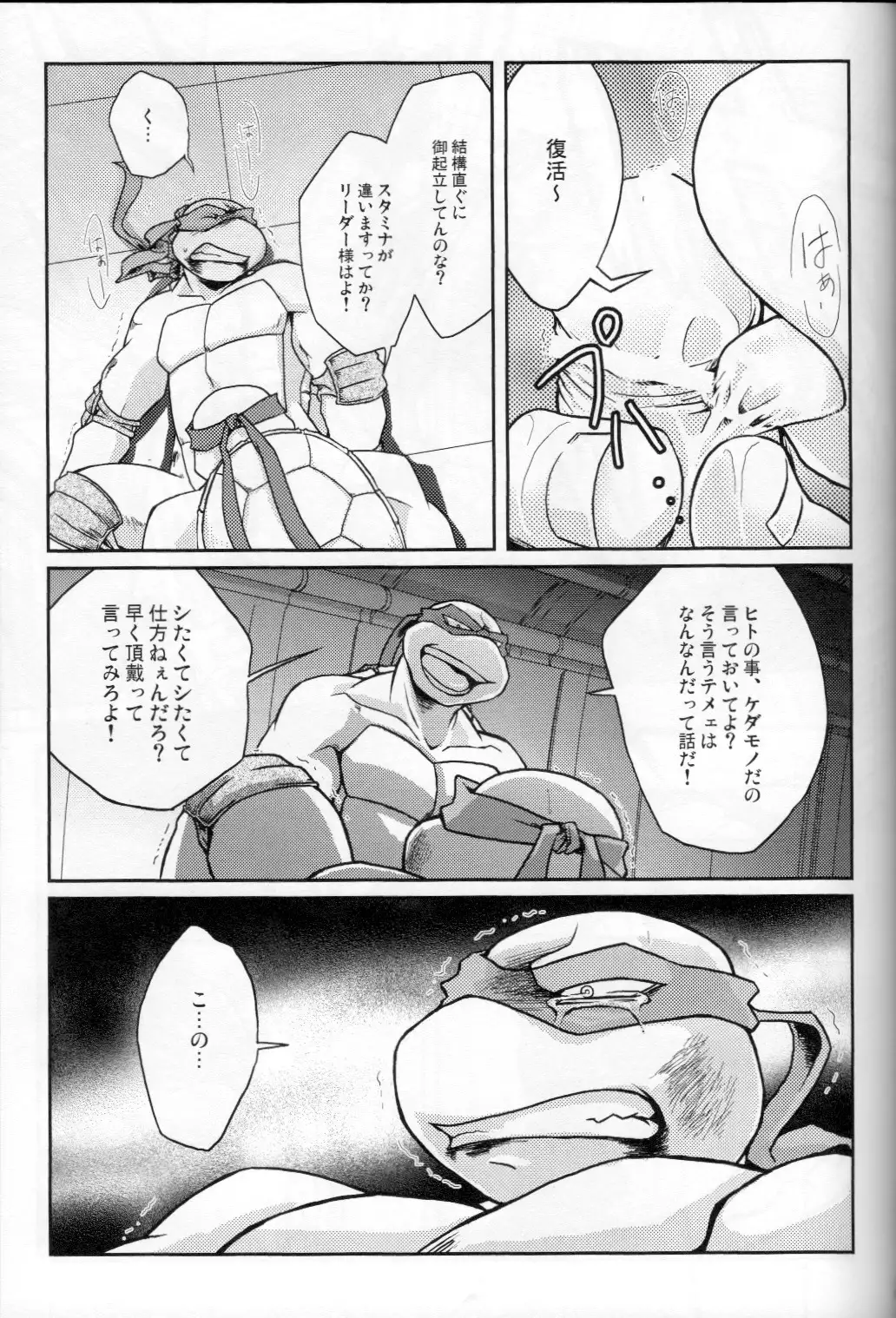 FALLEN - Raph vs Leo - Teenage Mutant Ninja Turtles, TMNT doujinshi