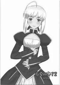 [Harimaya] Shunkashuutou 12 (Fate)