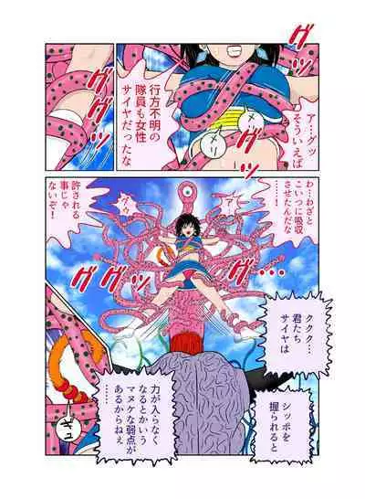 [riffle shuffle]Sawarite no Kuni Shippo no tsuita Sentoushuzoku (mesu) (Dragon Ball)