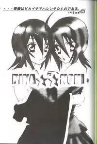 (C66) [PONCHEES (Kari) (Irohane Sui)] PIKA☆☆NCHI (Bleach) [English]