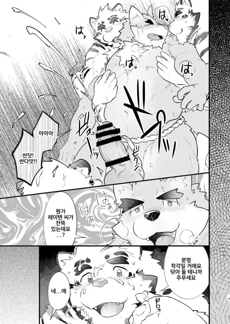 Meikyuu no Amaedokoro | 미궁의 안식처