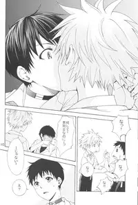 (C83) [Praline (Suzunari Natsuru)] Nr.9 (Neon Genesis Evangelion)