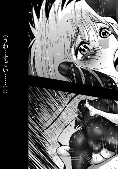 フェアリーセティ