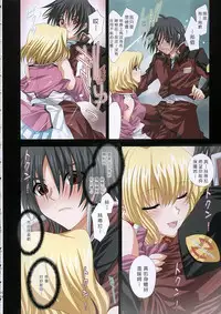 (C68) [FANTASY WIND (Shinano Yura)] satisfy (Gundam SEED DESTINY) [Chinese]