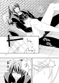 [AGLAIA (Mian)] Ishiki no Kangoku (Tales of Vesperia) [Digital]