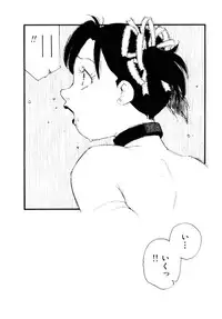 [Kaimeiji Yu] Volunteer Breeding