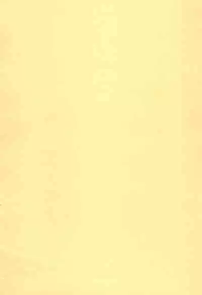 (Reitaisai) [SimpleClass (Shinozuki Kou)] -neko_gyakutai- (Touhou Project)