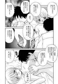 [Donkey] Chocotto Ne