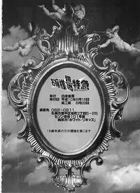 (C54) [Hakueki Shobou (A-Teru Haito)] Ojou-sama Choutokkyuu (Akihabara Dennou Gumi)