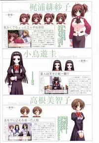 Otome wa boku ni koi shiteru Visual Fanbook (Otoboku)