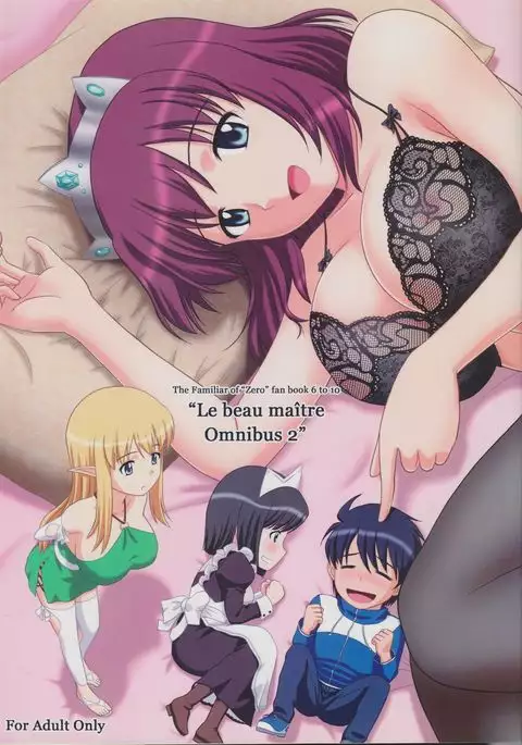 Zero no tskaima doujin Cover Samples on my radar