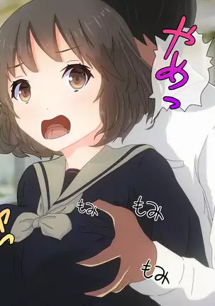 Akutoku Chikan Gekitai Seminar ~Higaisha o Kuimono ni Suru Koushuukai no Jittai~